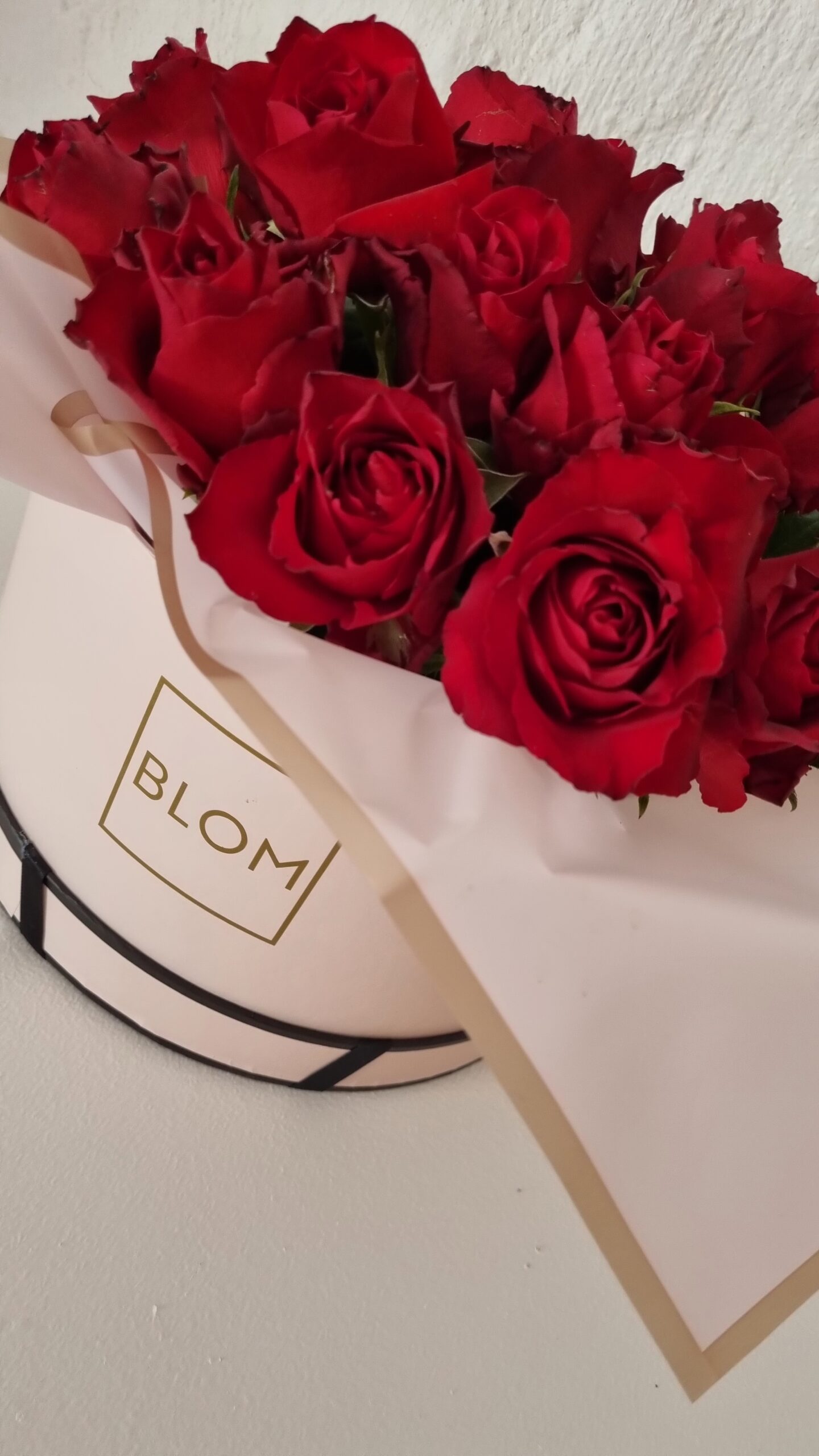 BLOM Medium Rosy Box - Image 4