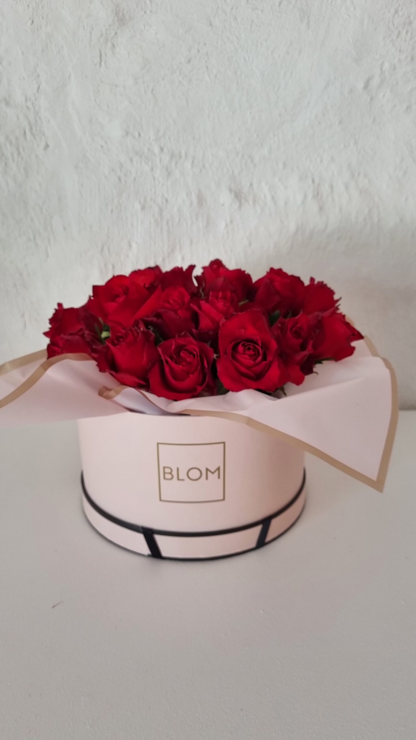 BLOM Medium Rosy Box - Image 5